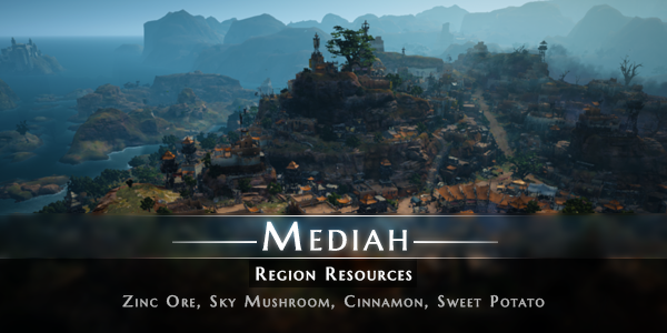 mediah area